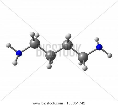Putrescine - tetramethylenediamine - is a foul-smelling organic chemical compound - butanediamine - that is related to cadaverine. 3d illustration