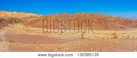 The dry desert region of Eilat mountains with poor vegetation and scenic colored landscape Israel.