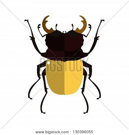 Vector illustration of a stag beetle. Isolated on a white background.
