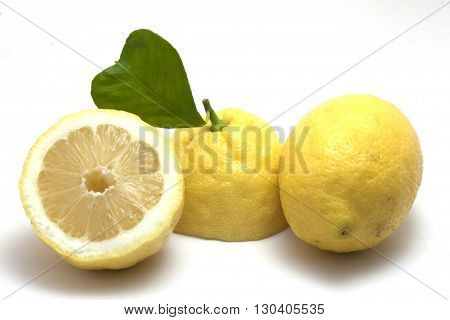 lemons with leaf cherish natural fruit without pesticides
