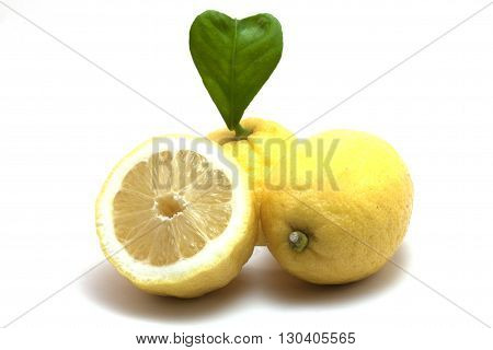 lemons with leaf cherish natural fruit without pesticides