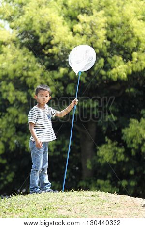 Japanese boy collecting insect (6 years old)