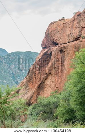 Red-orange sandstone cliffs in the wilderness area of the Baviaanskloof (baboon valley)