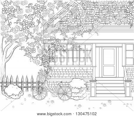 Hand drawn ink pattern. Coloring book for adult.