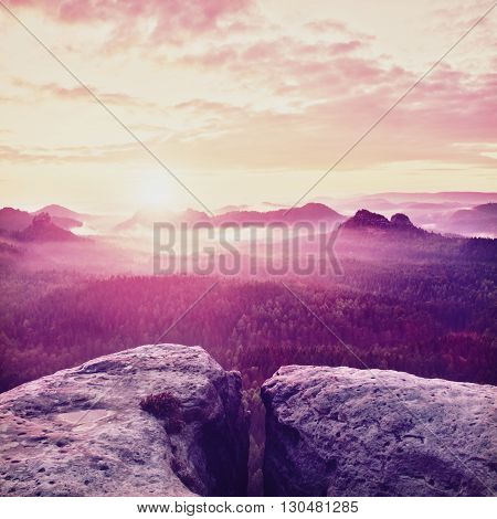 View Over Sandstone Cliff Into Deep Misty Valley In Saxony Switzerland. Sandstone Peaks Increased Fr
