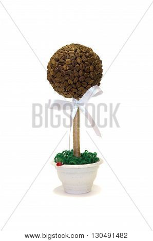 coffee tree on a white background with a bow