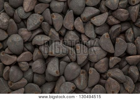 Organic Morning glory or kaladana (Ipomoea hederacea) seeds. Macro close up background texture. Top view.