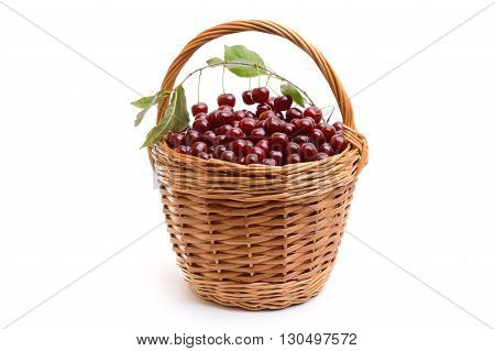 Basket full of fresh red cherry on a white background. Heap of ripe cherries with leaves in wicker basket on table