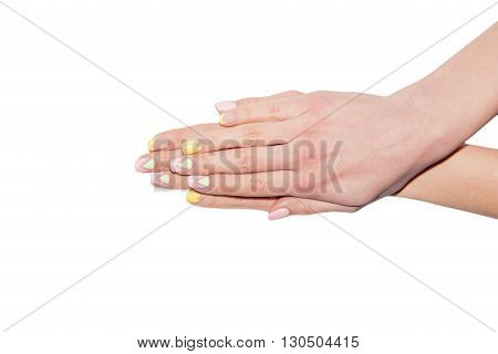 Female Manicure, Women's Hands On A White Background