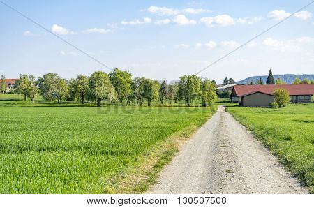 sunny illuminated idyllic field path at spring time in Hohenlohe a district in Southern Germany