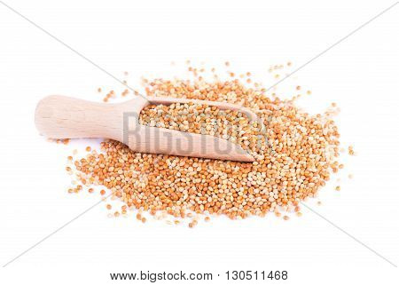 Mix of different varieties of millet, food for parrots, isolated on white background