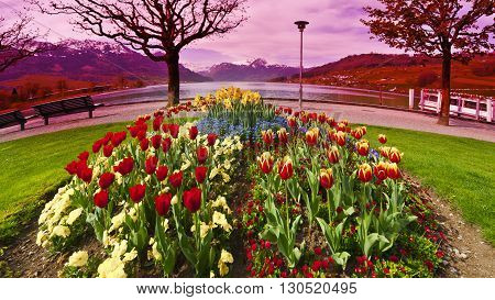 Landscaped Park with Flower Beds near the Lake in Switzerland