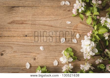 Spring post card background. Beautiful photo for post cards, gift cards etc. Rustic wooden background and apple blossoms. Copy space for text