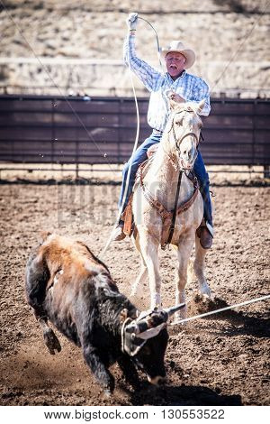 Wickenburg, USA - February 5, 2013: Riders compete in a team roping competition in Wickenburg, Arizona, USA