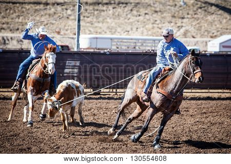 Wickenburg, USA - February 5, 2013: Riders compete in a team roping competition in Wickenburg, Arizona, USA