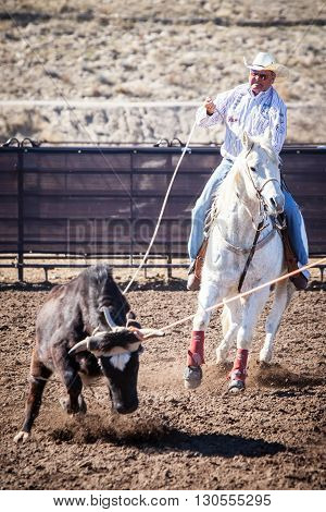 Wickenburg, USA - February 5, 2013: Riders compete in a team roping competition in Wickenburg, Arizona, USA
