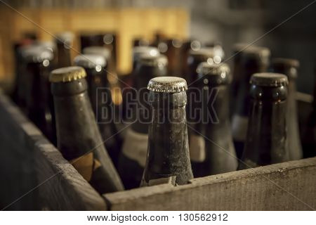 Old dusty bottle of beer in a wooden case