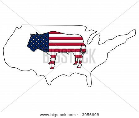 Americké Buffalo