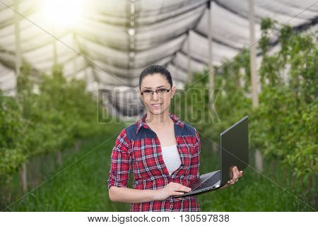 Woman In Apple Orchard