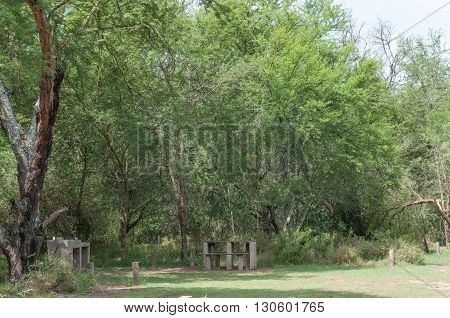 A shaded camping site at Smitskraal in the wilderness area of the Baviaanskloof (baboon valley)