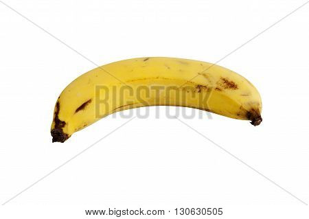Cavendish Banana Fruit. isolated on white background with clipping paths.