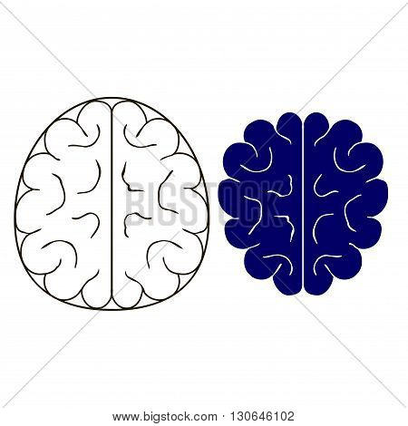 The anatomical images of the brain silhouette