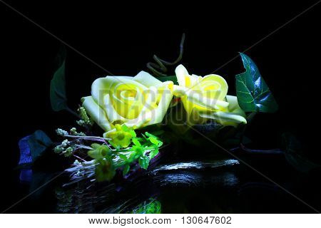 close-up flower rose in black background in dark