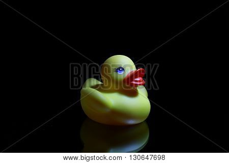 Plastic yellow bird  toy in black background