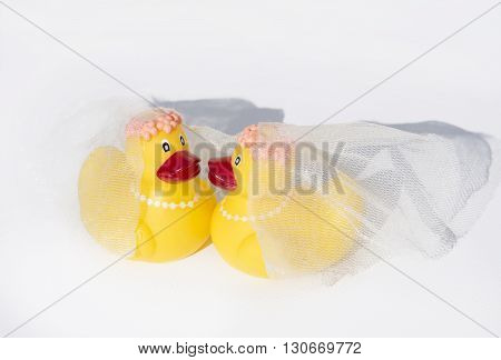 Rubber Ducky Gay Wedding