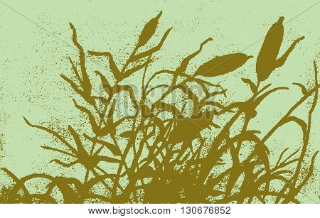 Reed Vector Illustration.