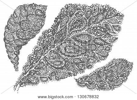 Croton Leaf Illustration In Paisley Style.