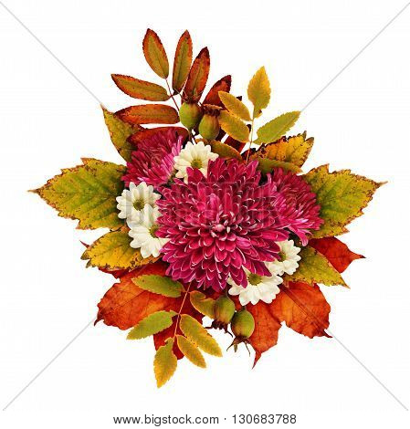 Autumn bouquet with aster flowers and dry leaves isolated on white