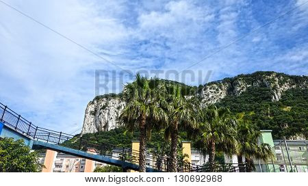 On contrast between the mountains and palm trees.