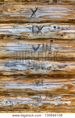 wall of wooden house with marked logs