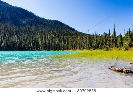 Lower Joffre Lake, Joffre Lake Provincial Park, Bc, Canada
