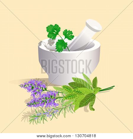 Mortar and Pestle with herbs. Vector illustration.