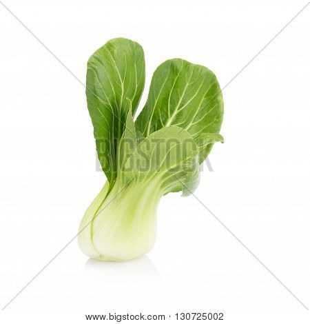 Pok Choi Isolated On A White Background.
