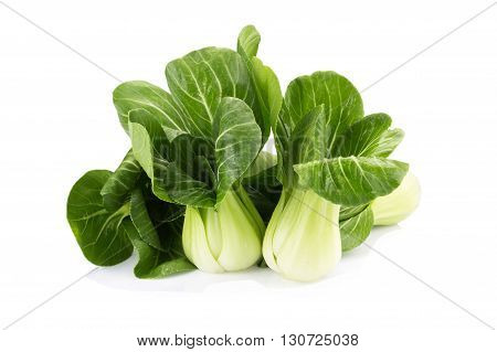 Pok Choi On White Background