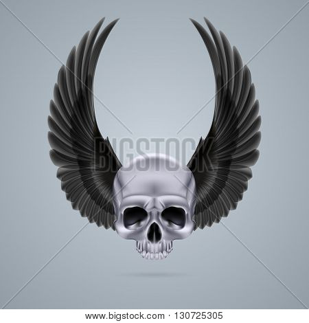Metal chrome skull with two raised crow wings and no jaw bone.