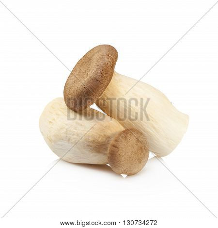 King Oyster Mushroom (eringi) Isolated On White Backgroud.