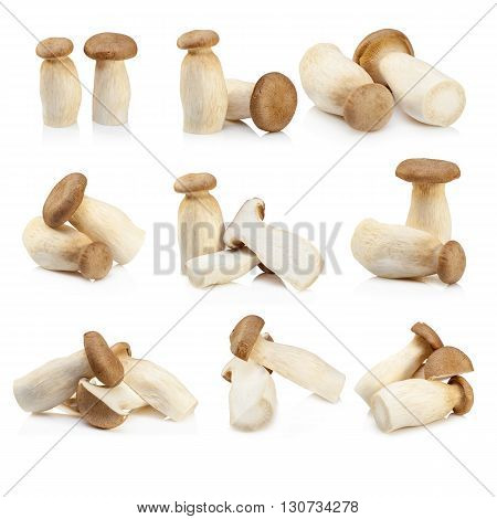 King Oyster Mushroom (eringi) Isolated On White Backgroud.