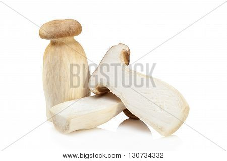 King Oyster Mushroom (eringi) Isolated On White Backgroud.