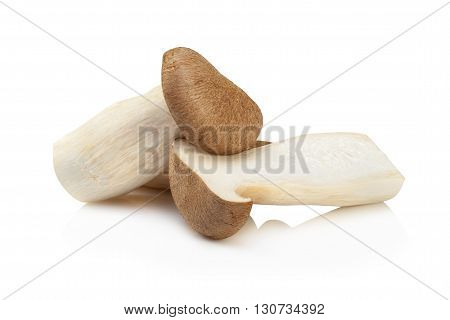 King Oyster Mushroom (eringi) Isolated On White Backgroud.