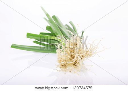 Allium Porrum On White Background