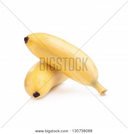Pisang Mas Isolated On White Background