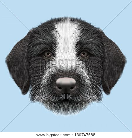Illustrated Portrait of German Wirehaired Pointer puppy. Cute brown face of hunting dog on blue background.