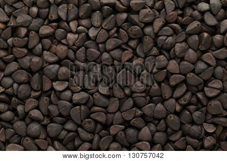 Organic Morning glory or kaladana (Ipomoea hederacea) seeds. Macro close up background texture. Top view.