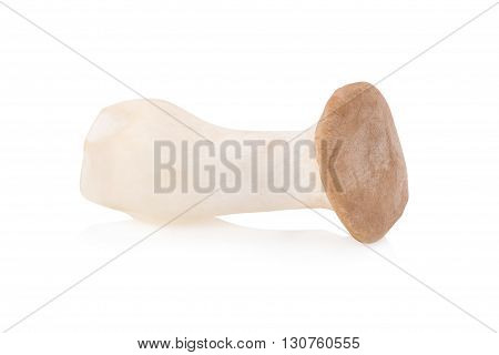 King Oyster Mushroom (eringi) On White Backgroud