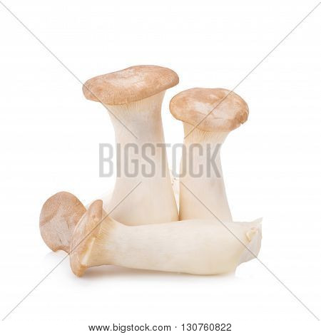King Oyster Mushroom (eringi) On White Backgroud