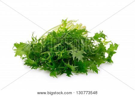 Mizuna Greens On White Background
